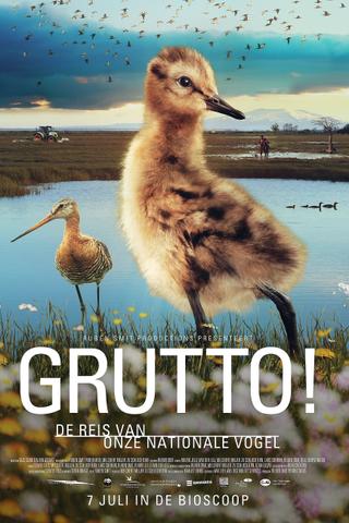 Grutto! De reis van onze nationale vogel poster