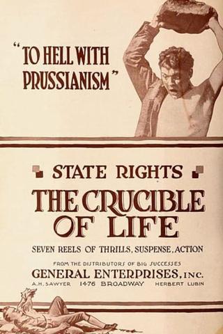 The Crucible of Life poster