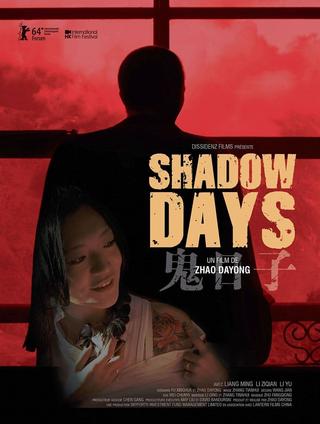 Shadow Days poster