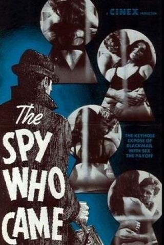 The Spy Who Came poster