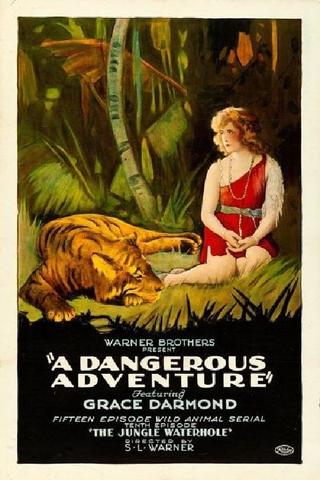 A Dangerous Adventure poster