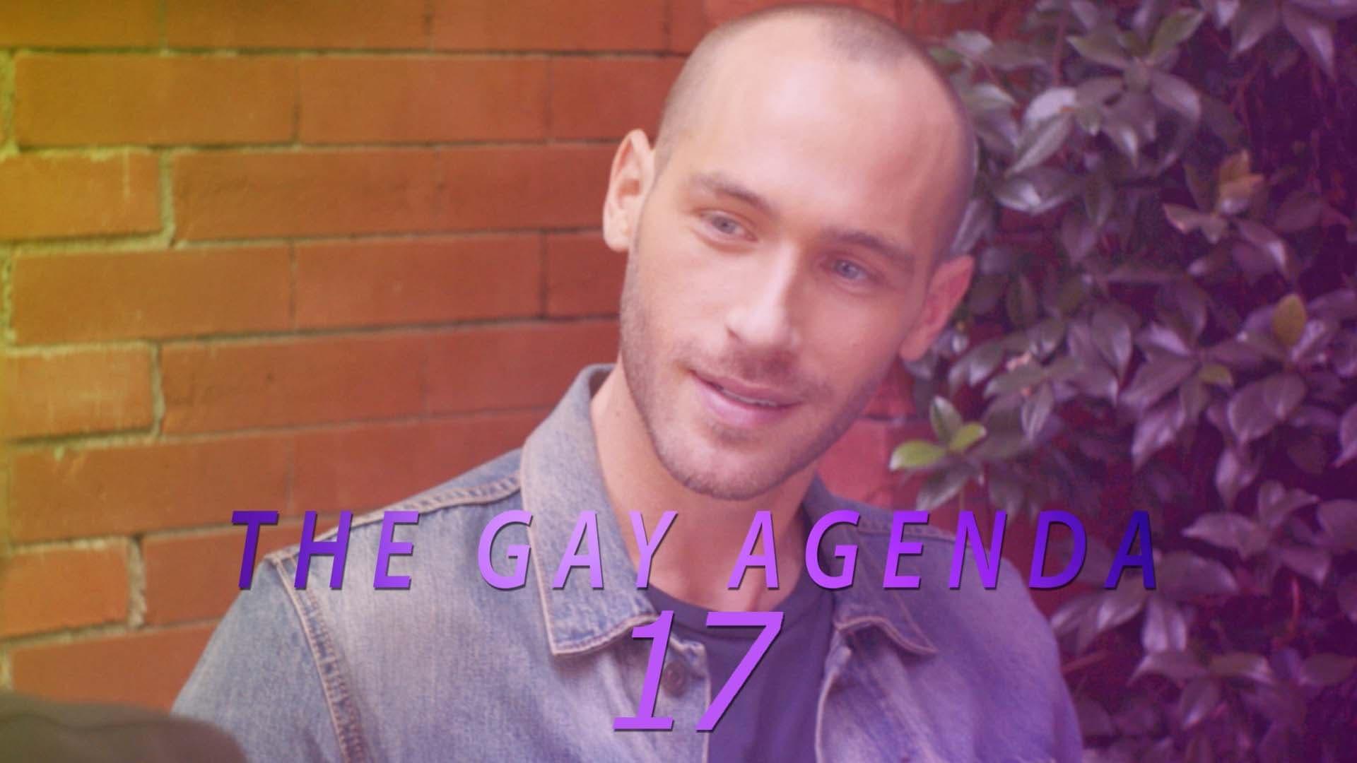 The Gay Agenda 17 backdrop