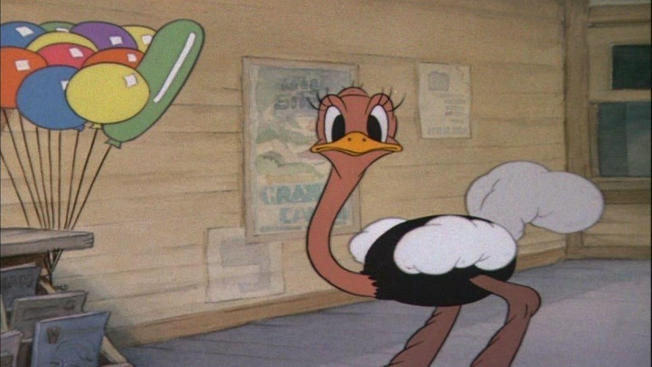 Donald's Ostrich backdrop