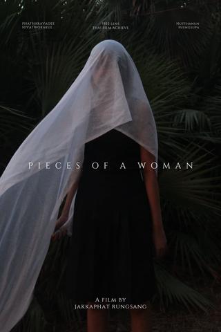 Pieces of a woman poster