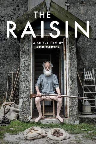 The Raisin poster