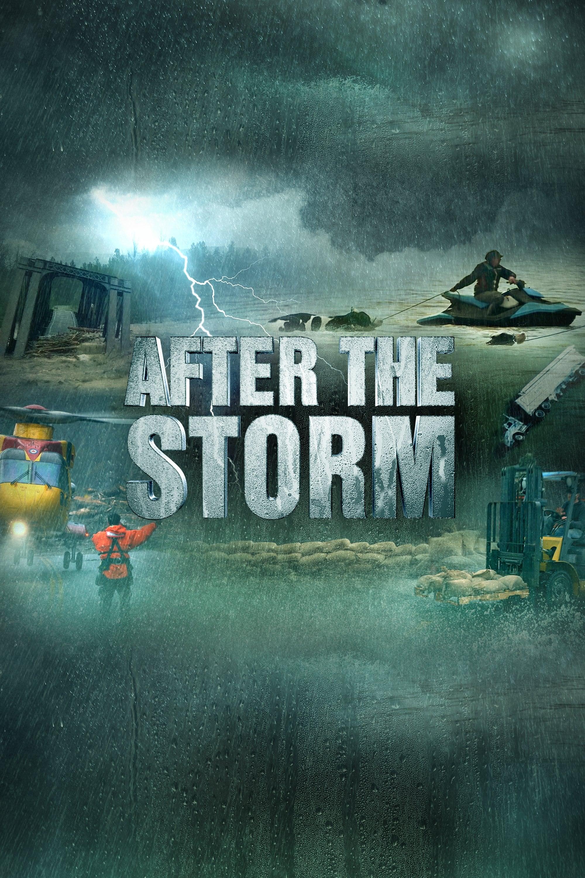 After the Storm poster