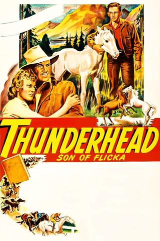 Thunderhead - Son of Flicka poster