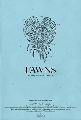 Fawns poster