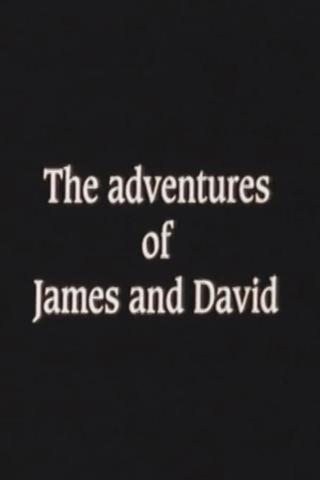 The Adventures of James and David poster