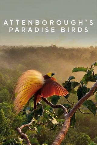 Attenborough's Paradise Birds poster