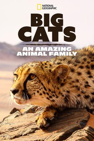 Big Cats: An Amazing Animal Family poster