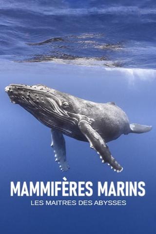 Mammifères marins - les maîtres des abysses poster