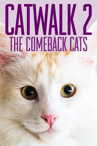 Catwalk 2: The Comeback Cats poster