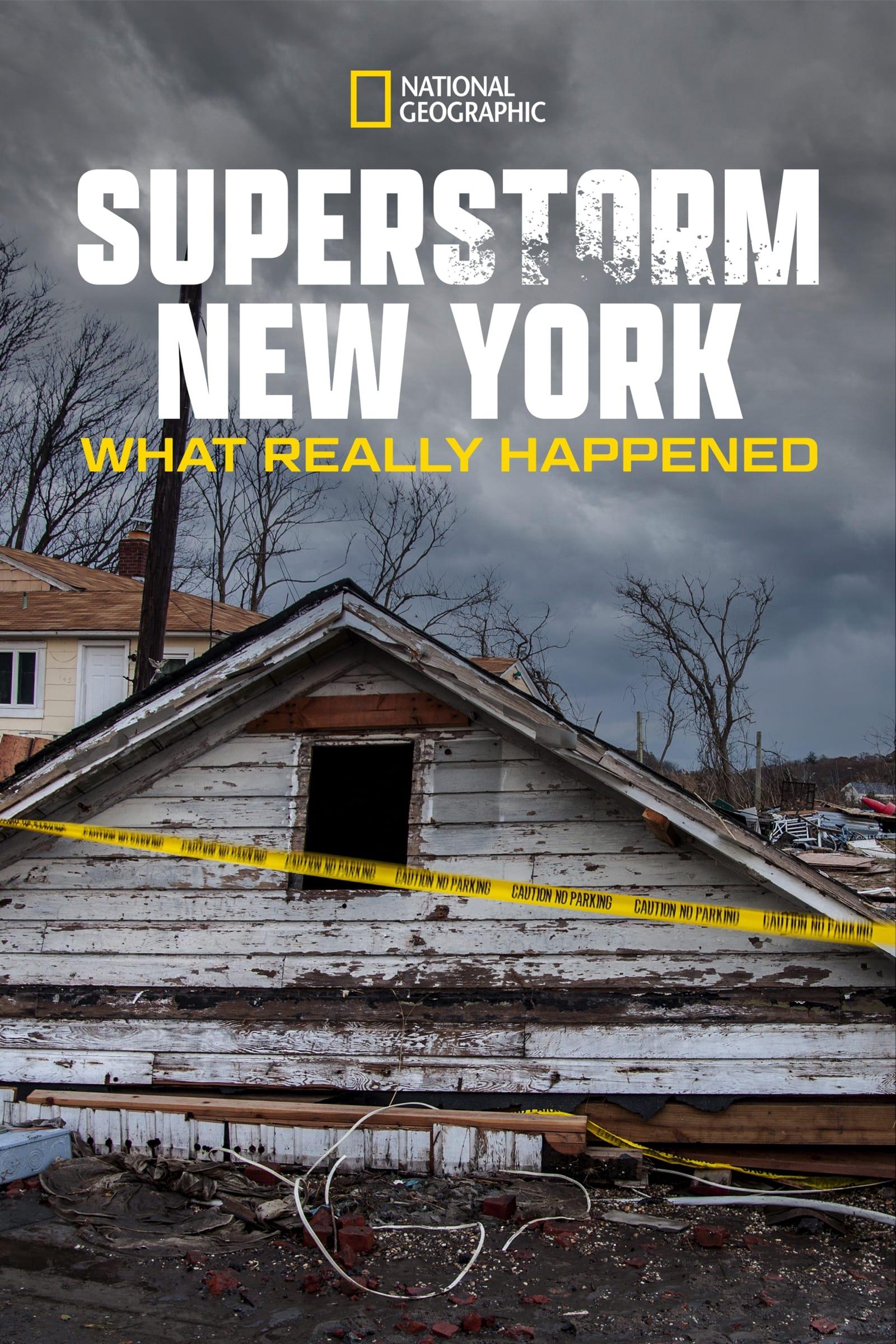 Superstorm New York: What Really Happened poster