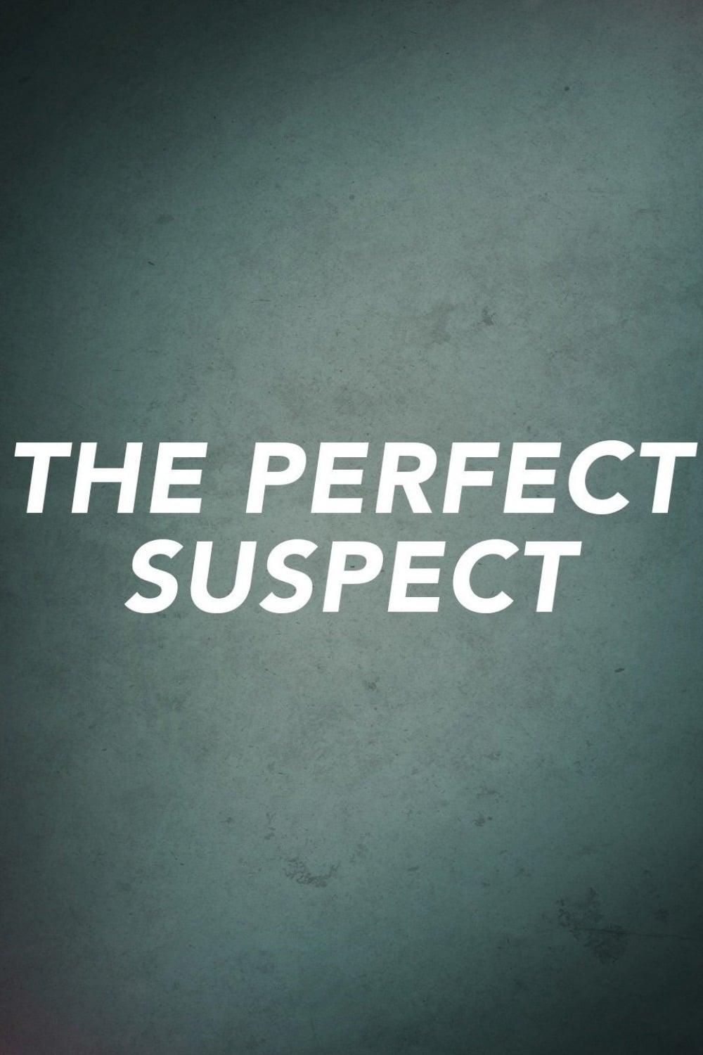 The Perfect Suspect poster