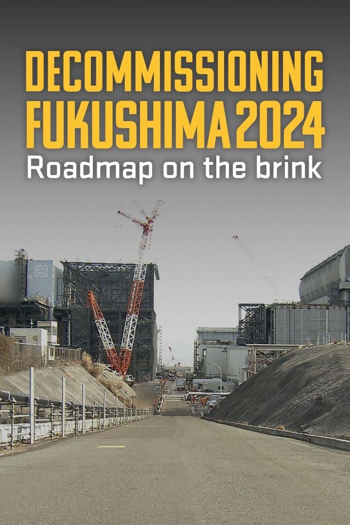 Decommissioning Fukushima 2024: Roadmap on the Brink poster