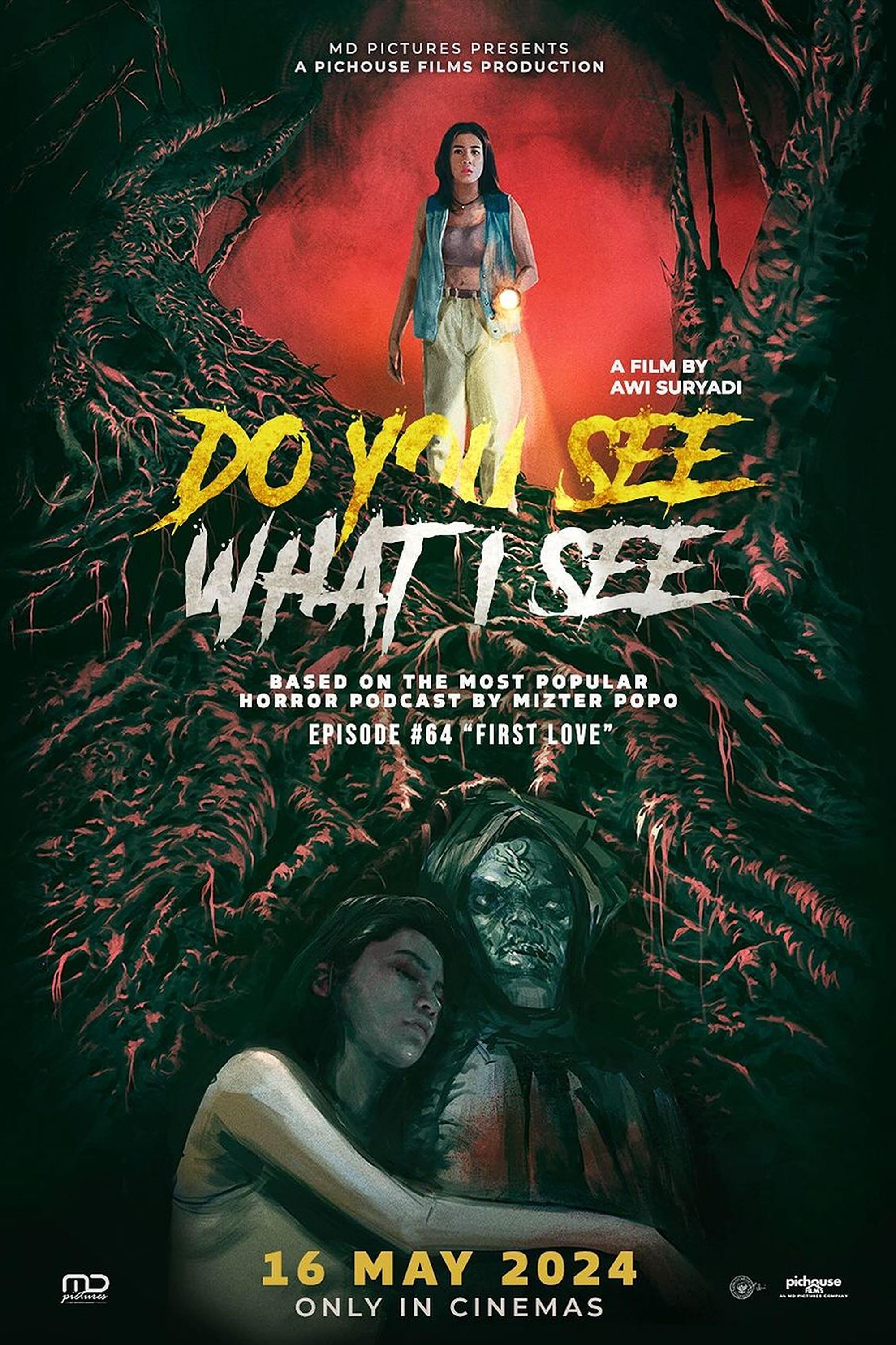 Do You See What I See poster