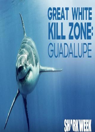 Tiburones Blancos de Guadalupe poster