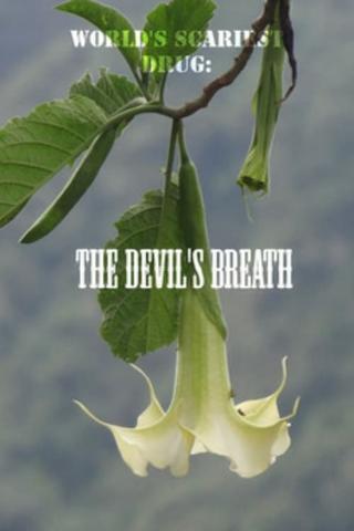 World's Scariest Drug: The Devil's Breath poster