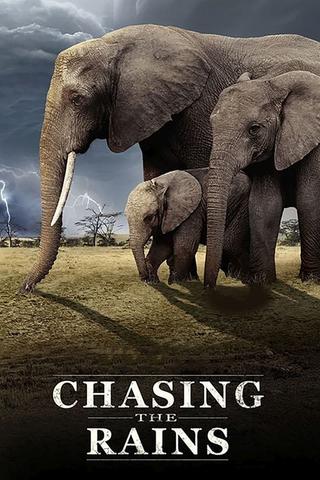 Chasing the Rains poster