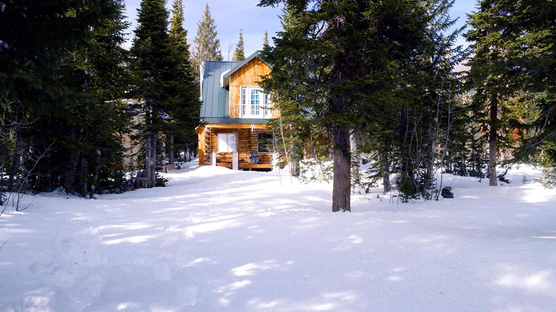 The Christmas Cabin backdrop