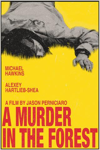 A Murder in the Forest poster