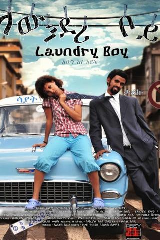 Laundry Boy poster