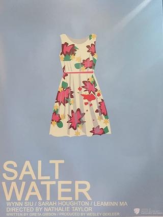 Salt Water poster