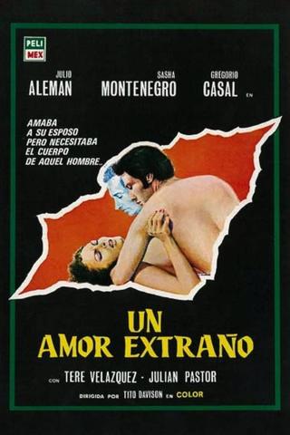 Un amor extraño poster