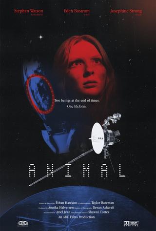 Animal poster