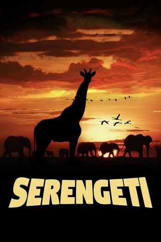 Serengeti poster