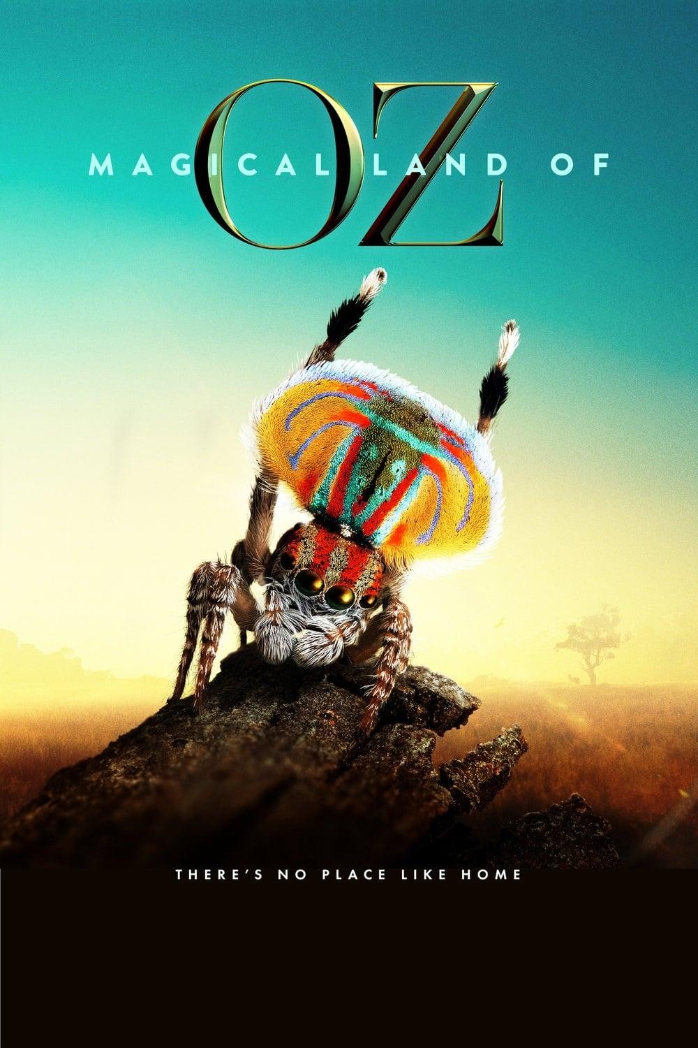Magical Land of Oz poster