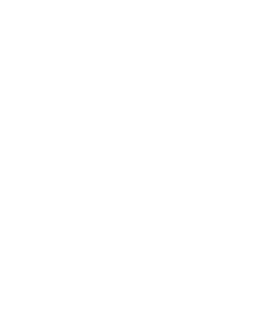 The Dragon Lady logo