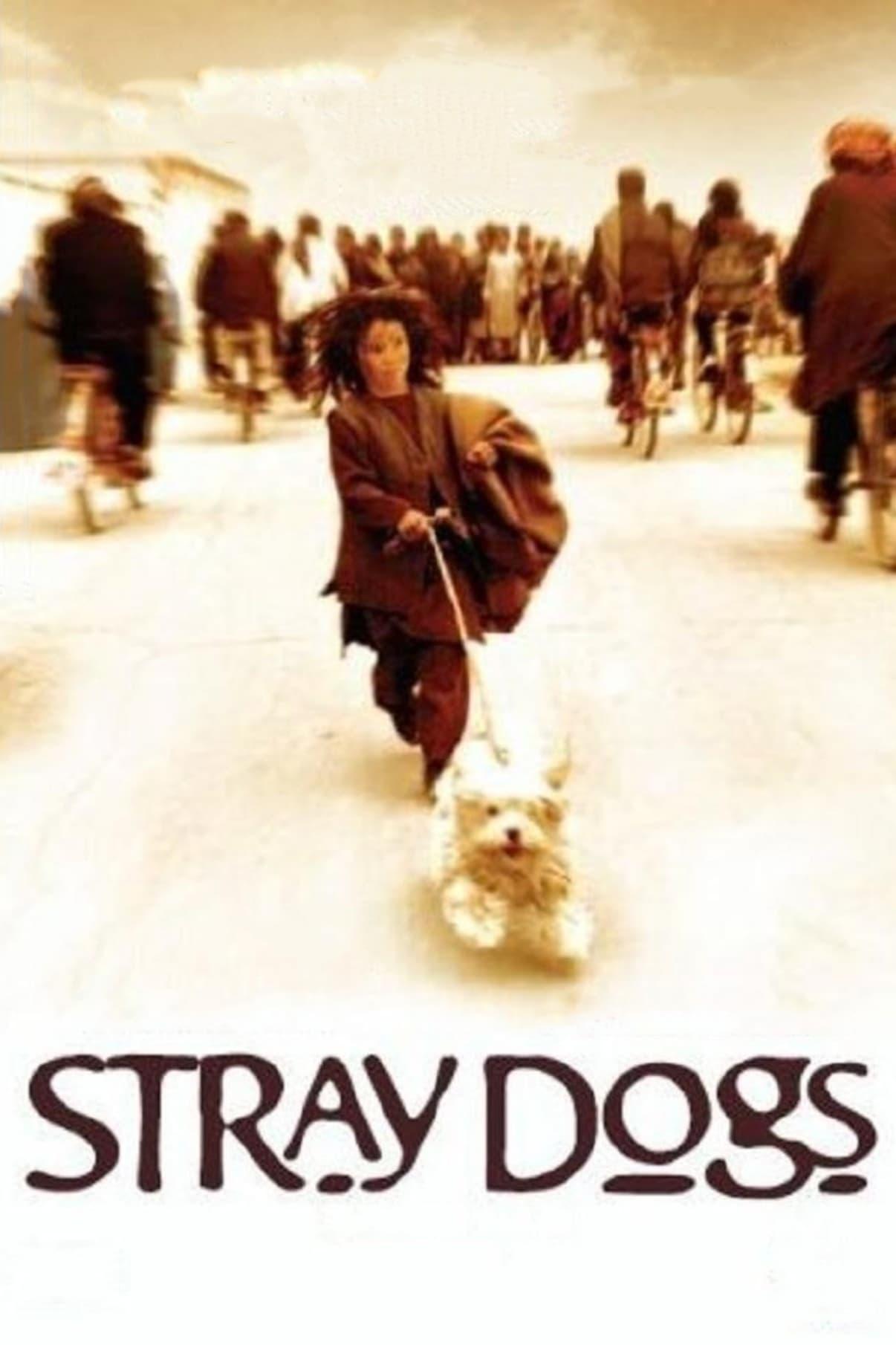 Stray Dogs poster