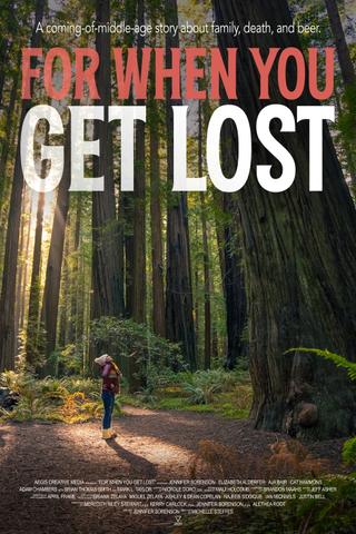 For When You Get Lost poster