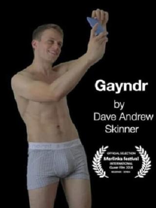 Gayndr II poster