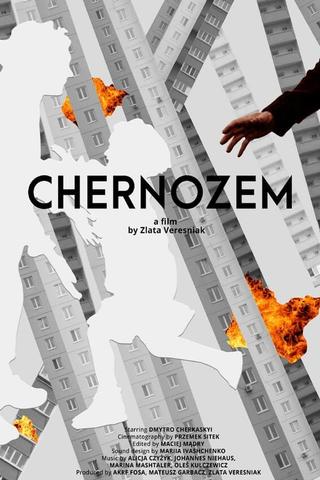 Chernozem poster