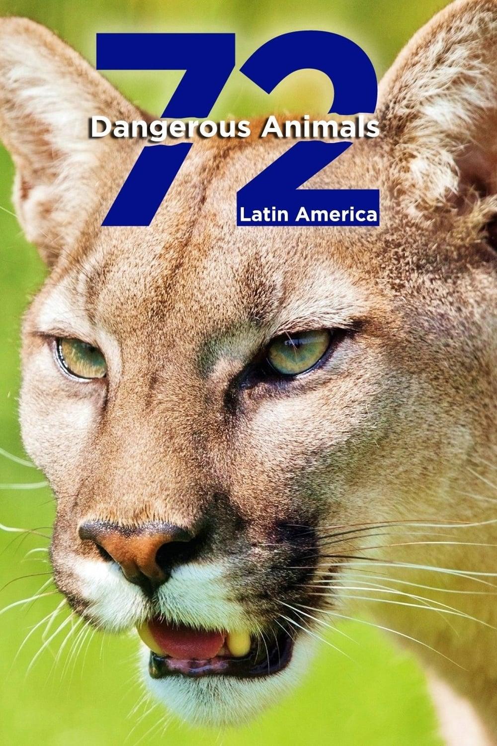 72 Dangerous Animals: Latin America poster