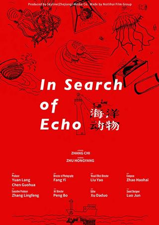 In Search Of Echo poster