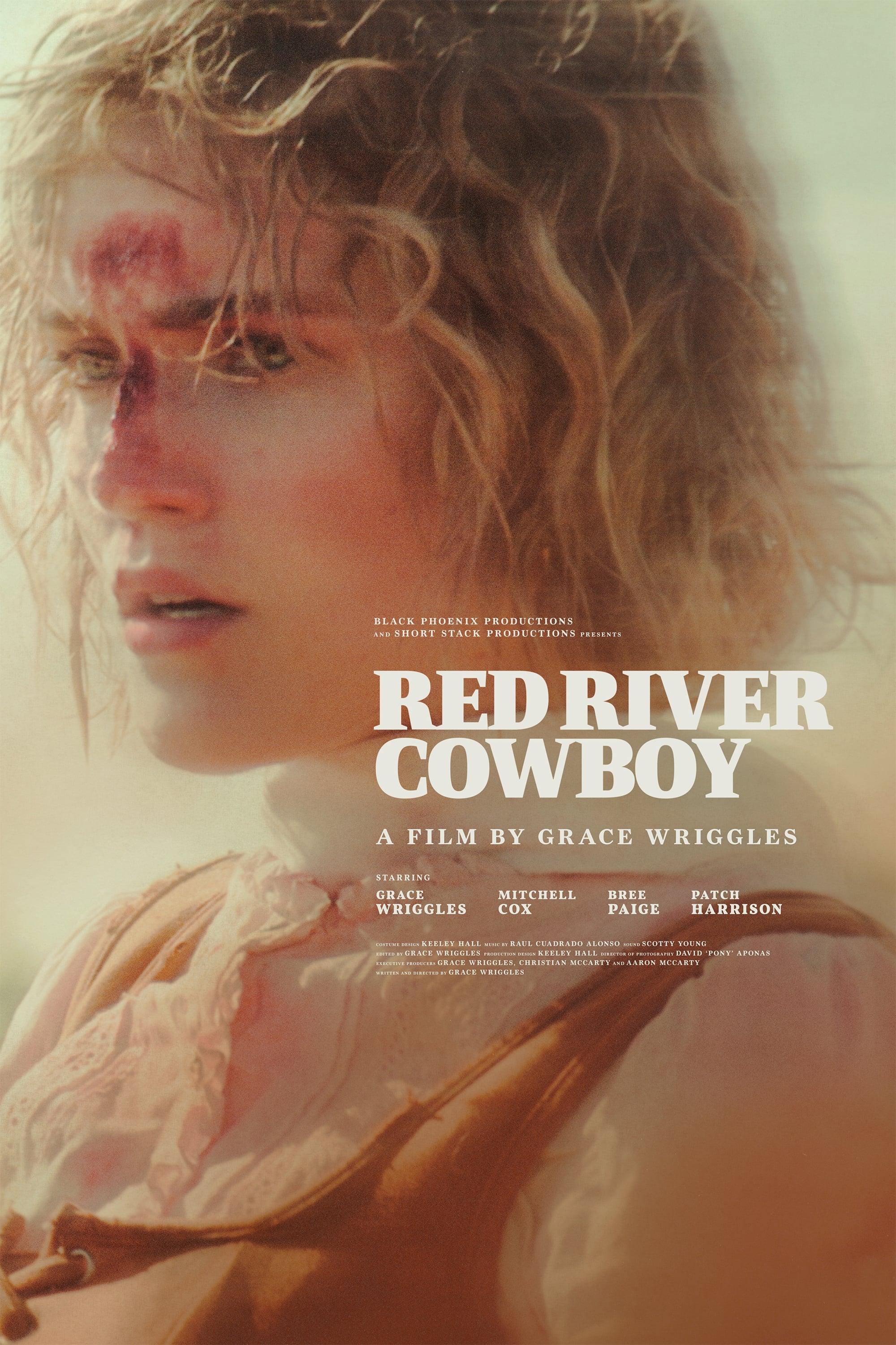 Red River Cowboy poster