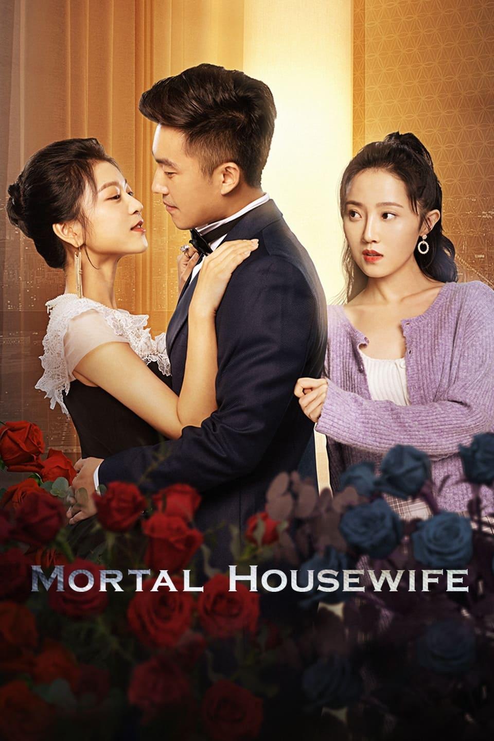 Mortal Housewife poster