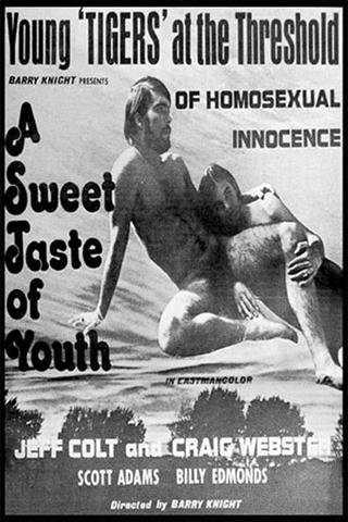 A Sweet Taste of Youth poster