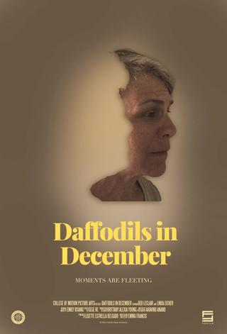 Daffodils in December poster