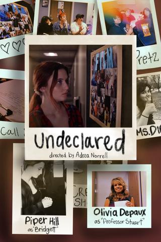 Undeclared poster