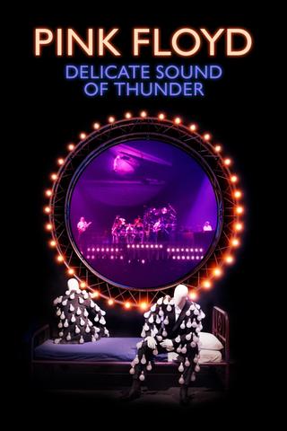 Pink Floyd - Delicate Sound of Thunder poster
