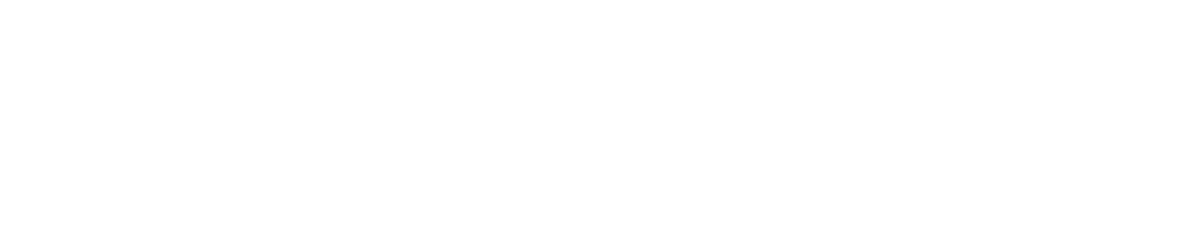 A Stolen Life logo