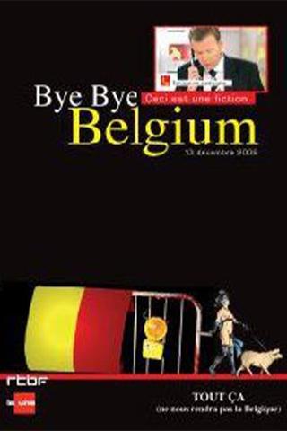 Bye Bye Belgium poster