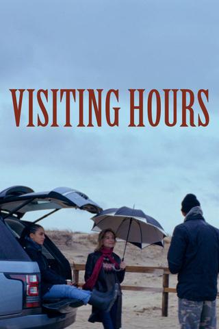 Visiting Hours poster