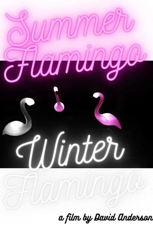 Summer Flamingo Winter Flamingo poster