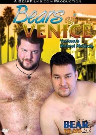 Bears of Venice poster